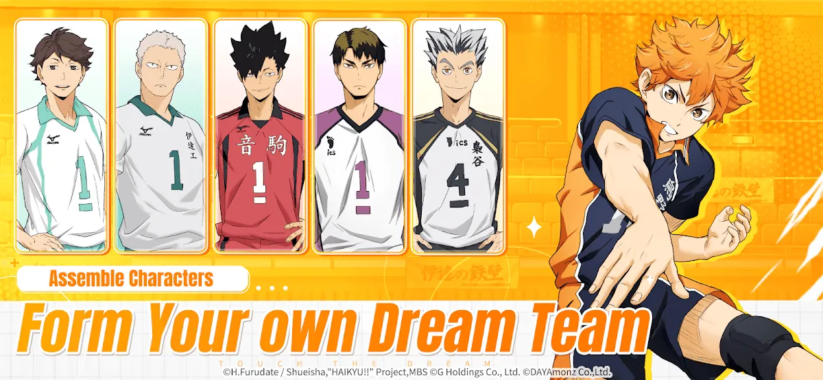 2024/11/HAIKYU-TOUCH-THE-DREAM-image.webp game image
