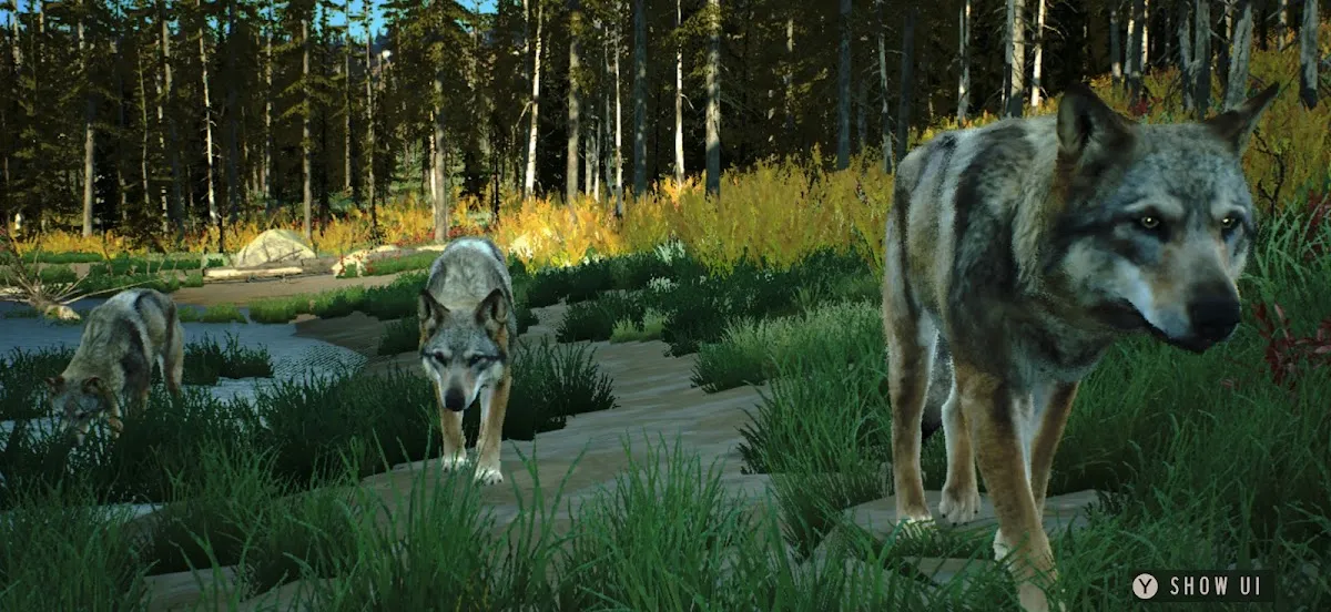 2025/07/Way-of-the-Hunter-Wild-America-image.webp game image