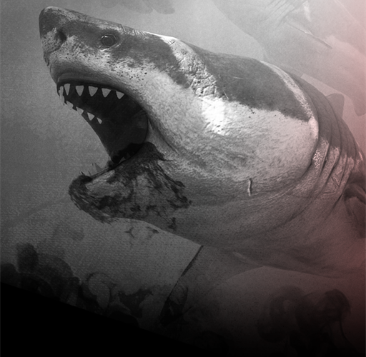 Death in the Water game icon